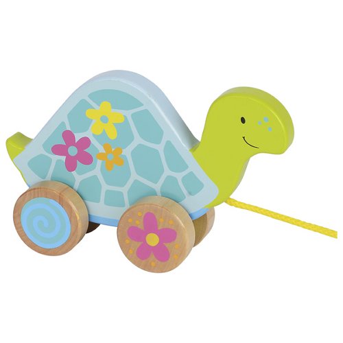Ziehtier Schildkröte, Susibelle