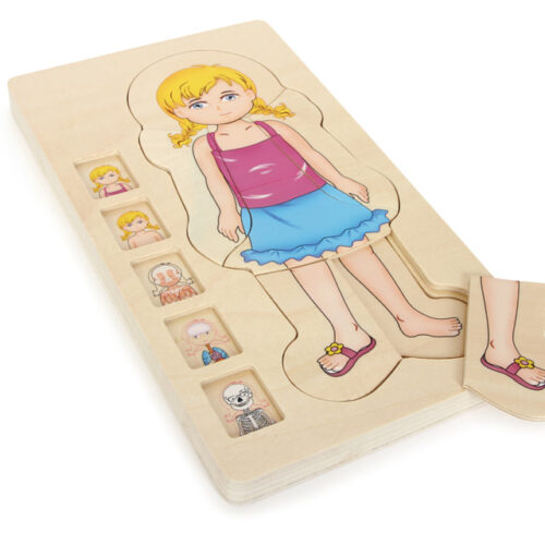 Schichtenpuzzle Anatomie Mädchen
