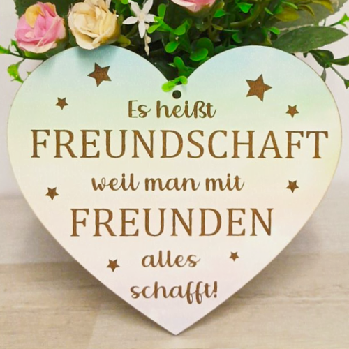 Spruchschild Herz "Es heißt Freundschaft..."