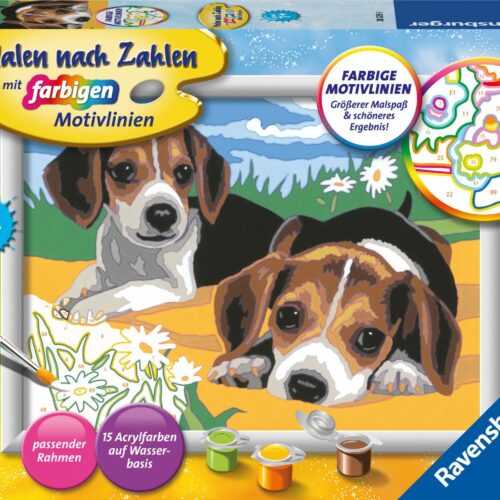 Malen nach Zahlen - Jack Russel Welpen