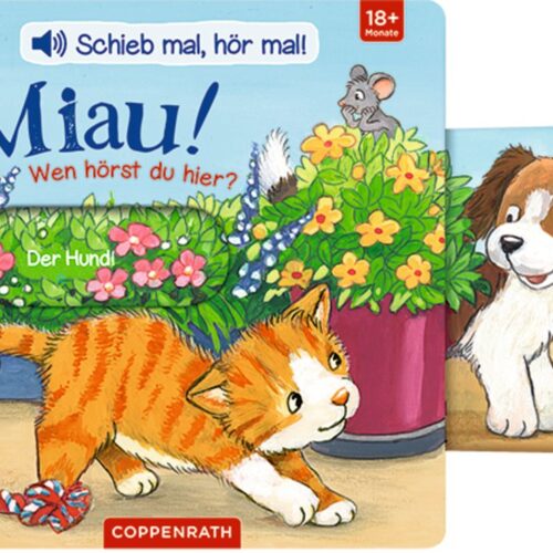 Schieb mal, hör mal!: Miau! Wen hörst du hier? (Soundbuch)