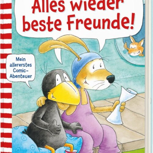 Das Buchcover zeigt den kleinen Raben Socke und seinen Freund, einen Hund, die fröhlich zusammenstehen. Der Hintergrund ist hellblau mit einem Teppich in sanften Farben, während die Ecke eine kleine Katze zeigt.