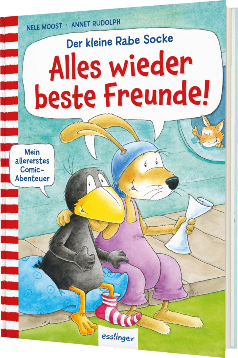 Das Buchcover zeigt den kleinen Raben Socke und seinen Freund, einen Hund, die fröhlich zusammenstehen. Der Hintergrund ist hellblau mit einem Teppich in sanften Farben, während die Ecke eine kleine Katze zeigt.