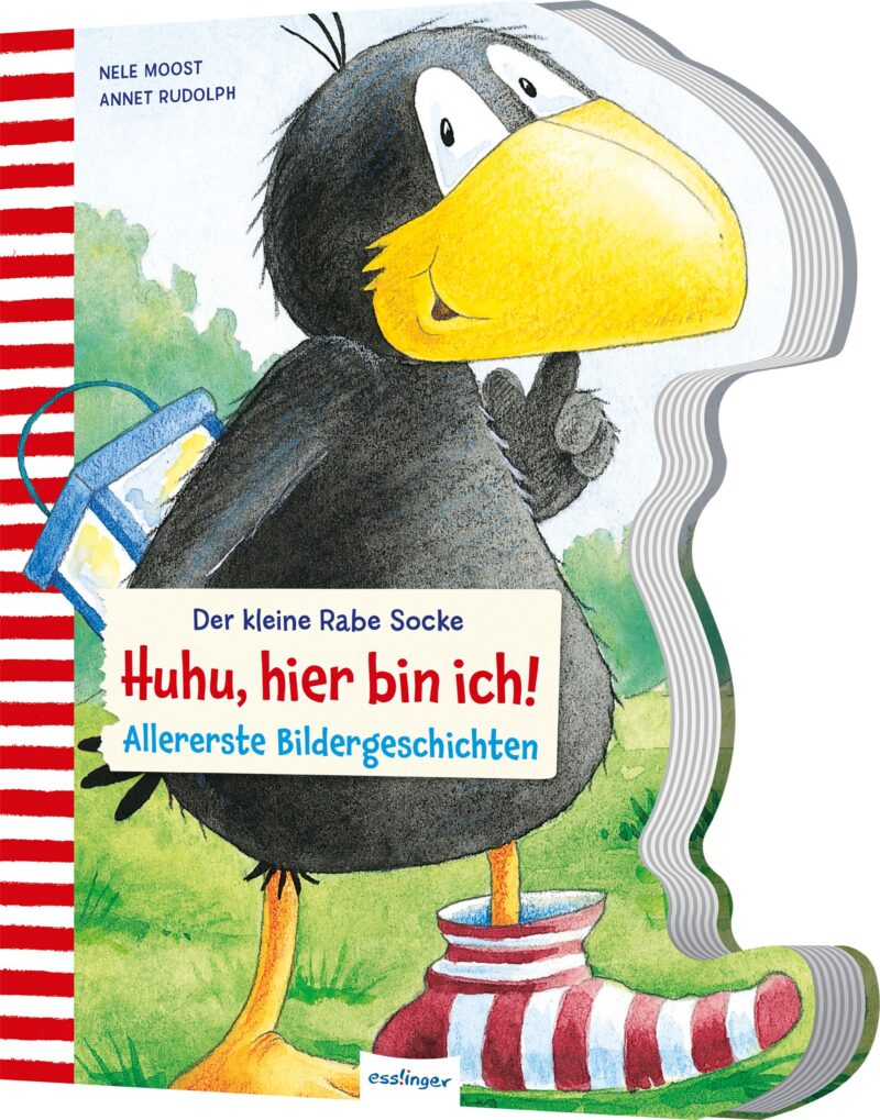 Das Buchcover zeigt den kleinen Raben Socke mit gelbem Schnabel und schwarzem Gefieder, der eine blaue Tasche hält. Der Hintergrund ist grün und die Schrift „Huhu, hier bin ich!“ ist in Blau gehalten.